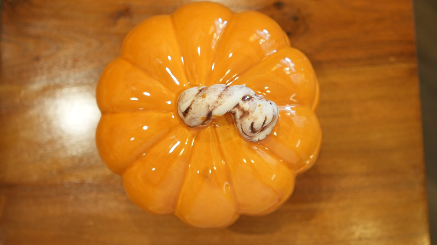 Autumn Ceramic Pumpkin Pot with Lid