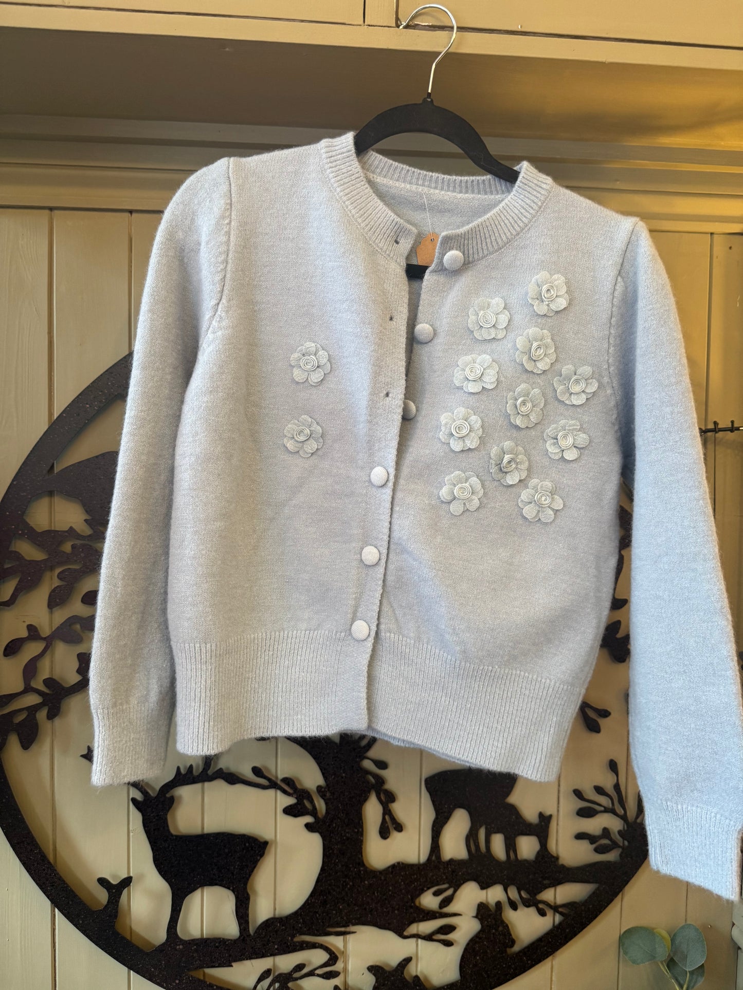 Baby Blue Cardigan