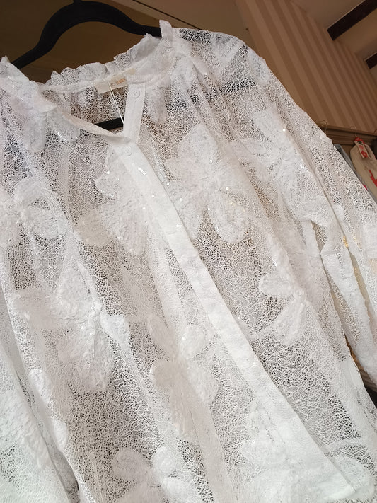 Sheer Sparkle Blouse